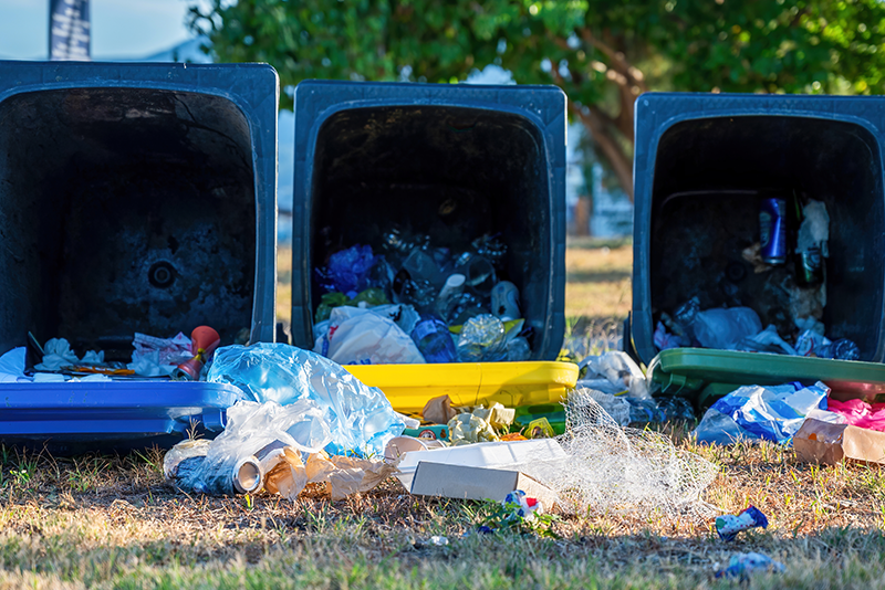 Trash Removal Albuquerque