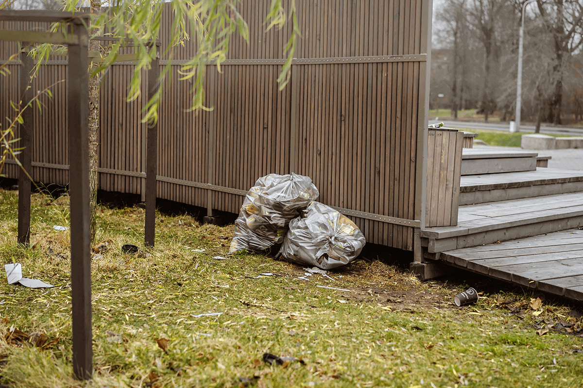 Transform Your Backyard Oasis The Benefits of Professional Junk Removal