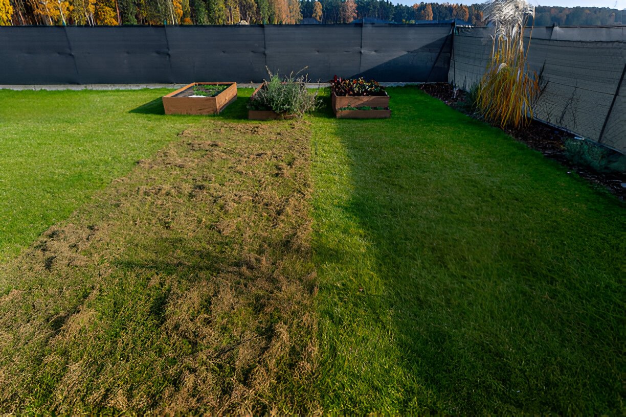 Backyard Look Brand New