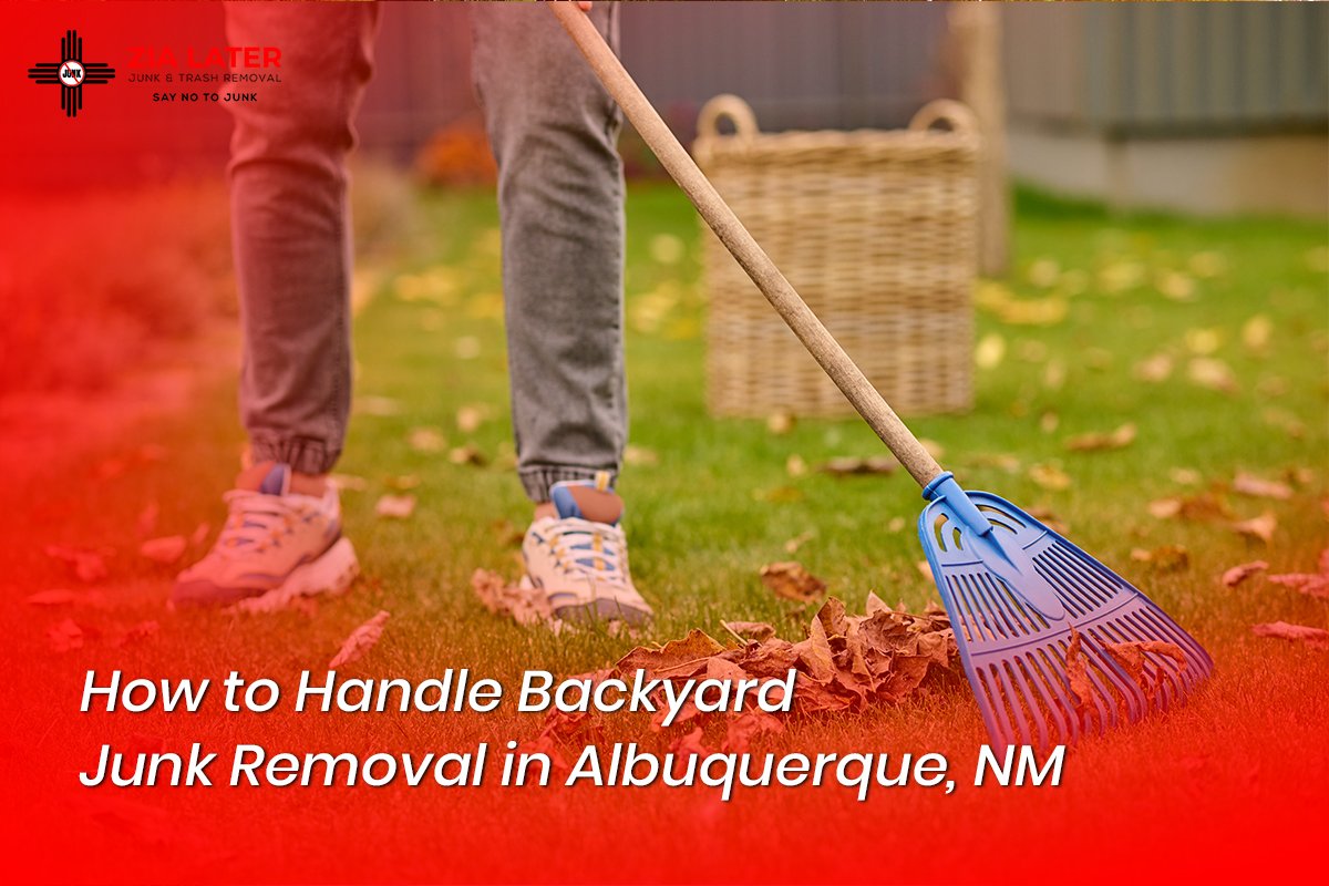 How to Handle Backyard Junk Removal in Albuquerque, NM