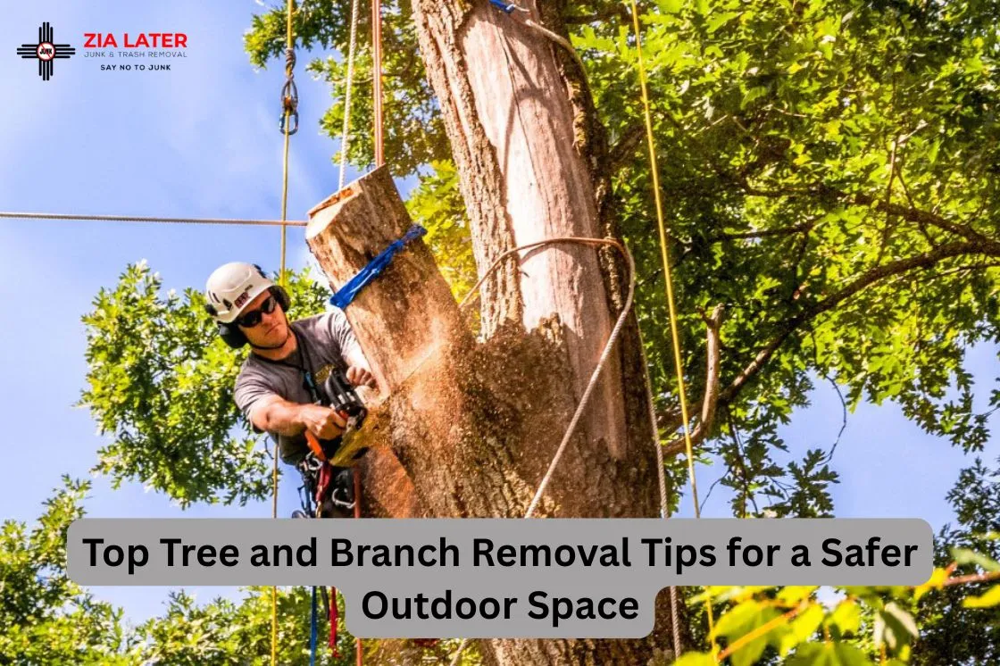 Top Tree and Branch Removal Tips for a Safer Outdoor Space